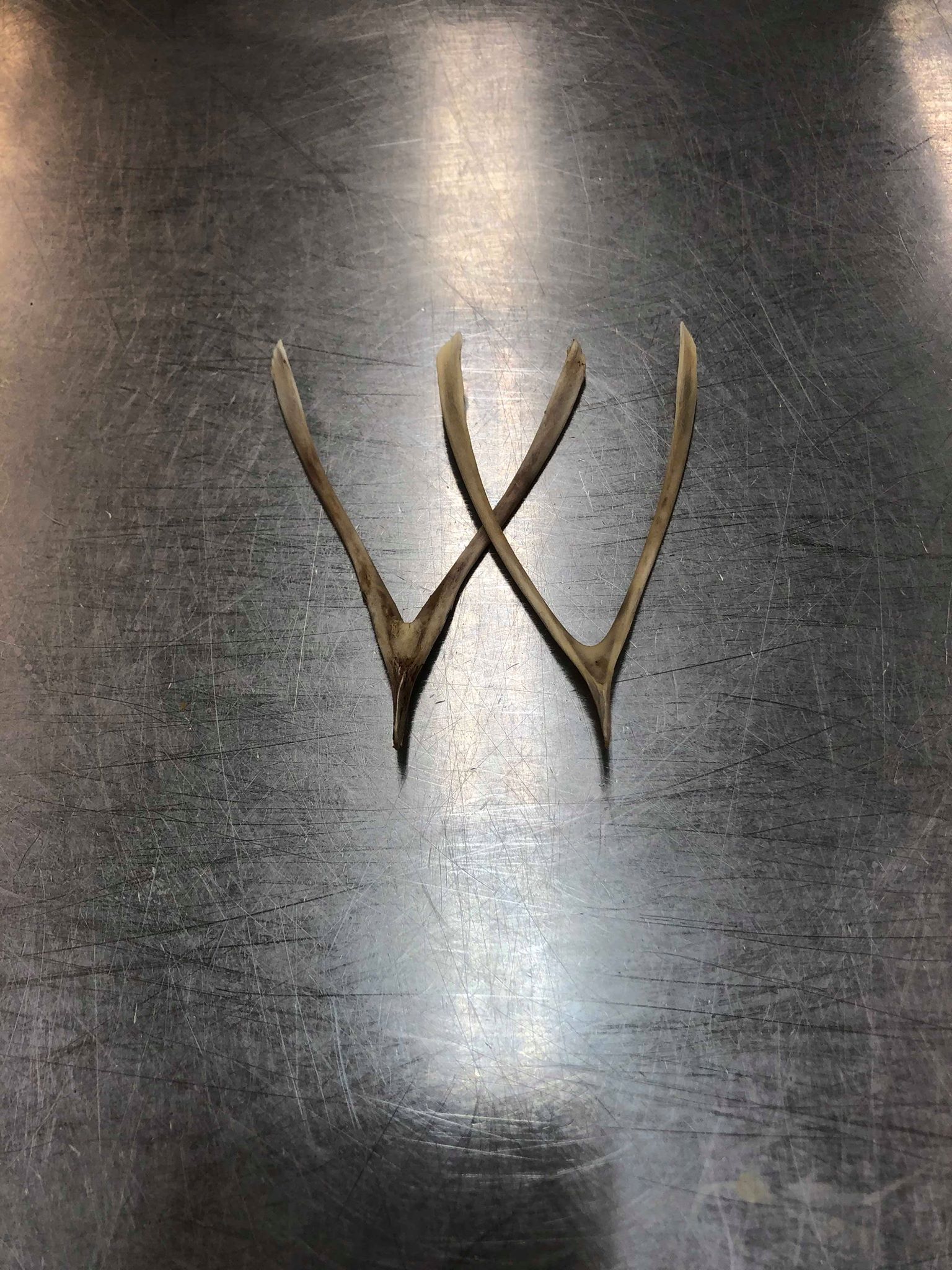 Wishbone Guitars